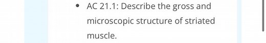 AC 21.1: Describe the gross and microscopic structure of striat... | Filo