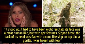 17 Pretty Creepy Stories Of People That Have Seen UFOs, Bigfoot, And Other Paranormal Things