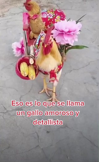 Carmen Martinez (@carmenmartinez1115)’s videos with Quien Piensa en Ti - Remastered - El Trono de México