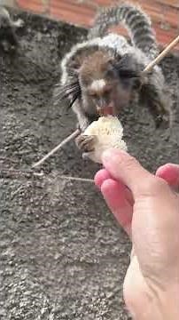 TIME TO FEED THEM