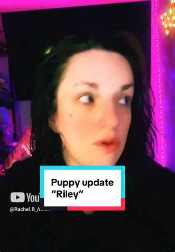 A Riley update for those that have asked ❤️ #puppy #puppytiktok #update #fyp #nomakeup