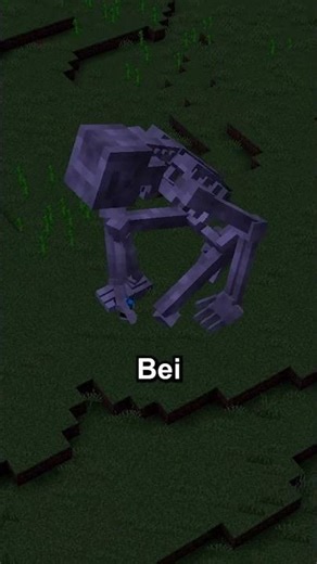 Mach NIEMALS das Licht aus!