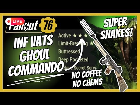 Full Raids No coffee No problem Elder's & Pepper| Fallout 76 LIVE