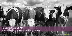Comptabilit� agricole : les r�gles du PCG
