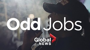 ‘Odd Jobs’: From coordinating movie stunts to tasting chocolate — a look at some of Canada’s most unique jobs