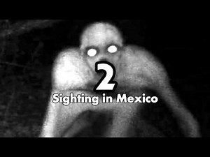 Top 3 Rake Sightings caught on tape