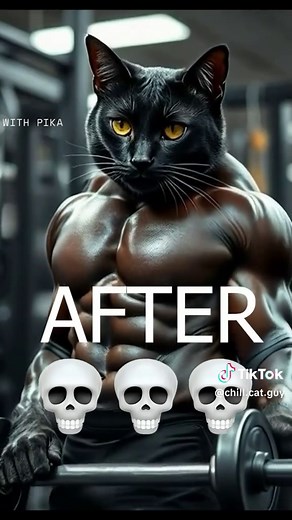 Evil Larry Winter Arc: Cat Memes and Dark Humor