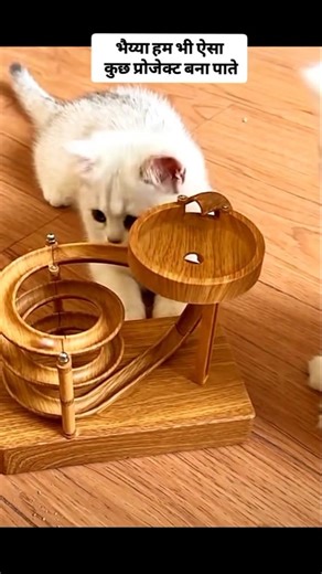 भैय्या हम भी ऐसा कुछ प्रोजेक्ट बना पाते