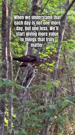 What Matters. #life #work #outdoors #ranch #diy #farm #marriage #relatable #viral #hawk #nature
