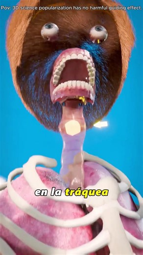 "What Happens When Food Goes To Wrong Pipe-3D Animation#WrongPipe#ChokingExplained#SwallowingReflex"