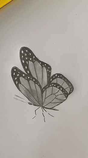 🦋#buterfly #recommendations #fyp#drawing