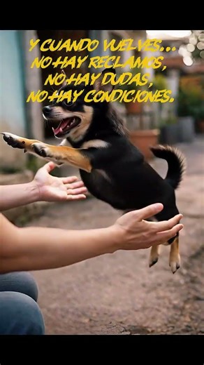 “El amor de quien te espera no necesita explicación” 🔥