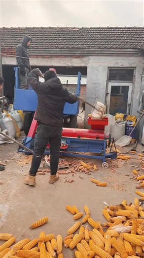 Two-phase electric corn thresher, high-efficiency threshing #cornthresher #thresher #householdcornthresher #agriculture | Kirti R Vaghela