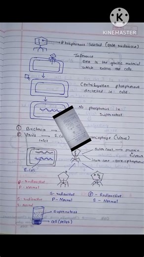 Biology Chp 4 Molecular Basis Of Inheritance #12th #biology #neet #notes #simplenotes#syjc#upsc#mpsc