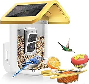 Bird Feeder with Camera Solar Powered : Smart Camera Bird Feeder 2K Live Feed Cam for Outdoor Backyard - Ai Identify Auto Capture Videos Pictures, Gifts for Birdlover Mom Dad, 2.4GHz WiFi