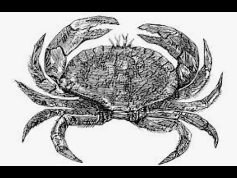 Sex & the Cancer Astrology Sign | Zodiac Love Guide