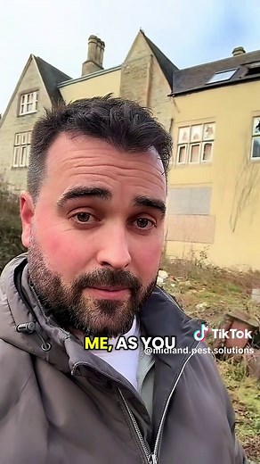 Quality Audit Inspections for Pest Control Solutions