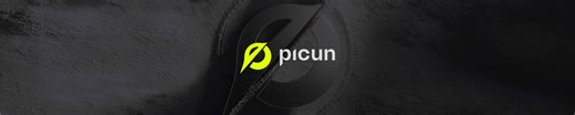 Picun