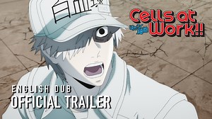 The English Dub of Cells at Work!! featuring the brand-new English dub of the opening theme song "GO! GO! CELL FESTIVAL" is coming to Funimation on April 29, 2021! [ ENGLISH DUB CAST ] Red Blood Cell: Cherami Leigh White Blood Cell (Neutrophil): Billy Kametz Killer T Cell/Memory T Cell: Robbie Daymond Macrophage: Laura Post Platelet: Xanthe Huynh Platelet (Backward Cap): Jackie Lastra Megakaryocyte: Amber Lee Connors Memory Cell: Dave Vincent B Cell: Erik Kimerer Mast Cell: Maureen Price NK Cell