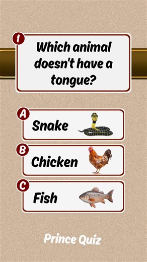 Animal Quiz, Guess the answer, quiz video #fyp #quiz #englishquiz #usatiktok🇺🇸 #unfreezemyaccount