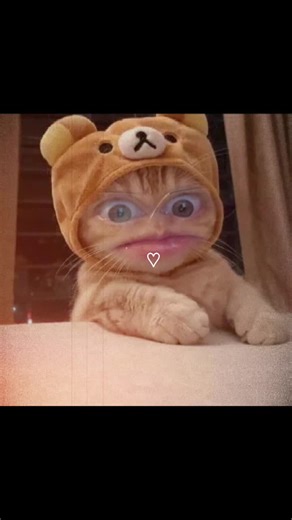 bored #garfield #thor