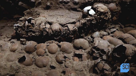 The Templo Mayor - or Main Temple - was constructed during the Postclassic period of Mesoamerica and destroyed by the Spanish in 1521 🛕 Skeletal remains below the rocky surface are leaving archeologists in shock 🔎 📺 #SecretsInTheJungle 🗓️ 10p ET | Science Channel