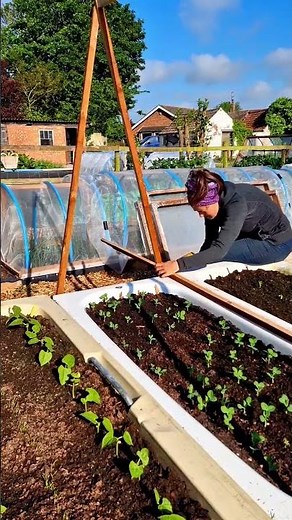 Quick & Easy DIY Pea Trellis #growyourownfood