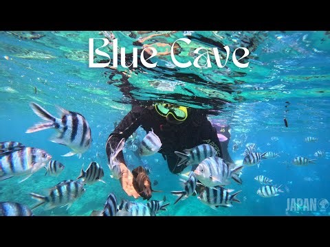 Blue Cave Snorkeling Okinawa: Exploring the Magical Waters of Cape Maeda - Japan Diaries | 057