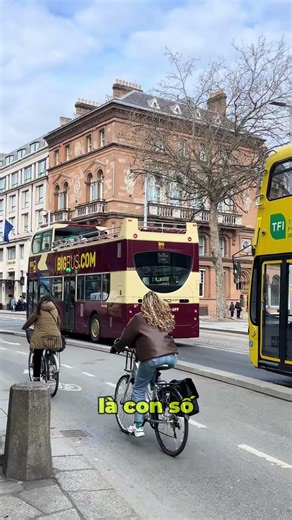 DU HỌC IRELAND: THU NHẬP 1.000 EUR/THÁNG LÀ THẬT HAY ĐỒN? - SHI GLOBAL