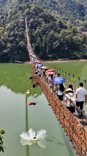 铁索桥突然断裂，游客接连坠入河中，太惊险了！#铁索桥断裂#游客坠河#桥梁事故#WaterRescue#ShockingBridgeFail #视觉震撼 #automobile #惊险瞬间