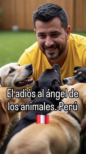 29K views · 12K reactions |  El adiós al “Ángel de los animales”...