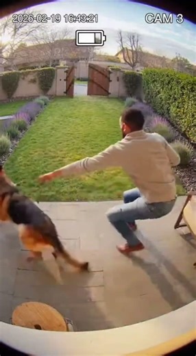 DOG CHASES INTRUDER! 😱🐕