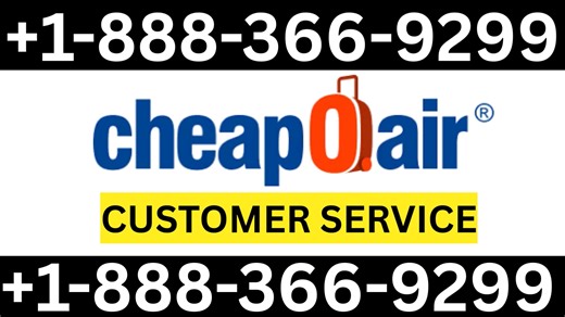 Cheapoair Customer Service Official helpdesk Number | Guide how to Live Chat, Email Call Support Guide