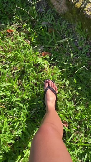 Traditional Filipino Native Chicken Farming in Batangbukid, Philippines