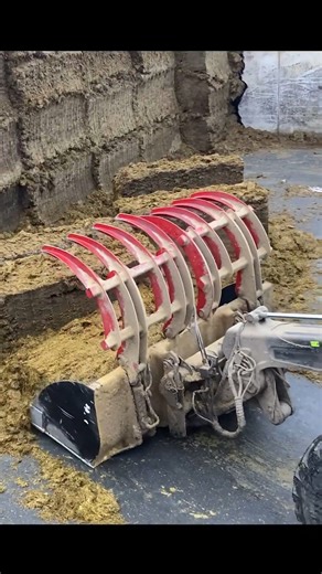 Beautiful Girl Tractor Driver on the Farm _ Making Silage on a Cow Farm #cow #farm #tractor #farm #farmlife #farming #agriculture #nature #farmer #agro #tractor #country #photography #countrylife | Eliana Ivy