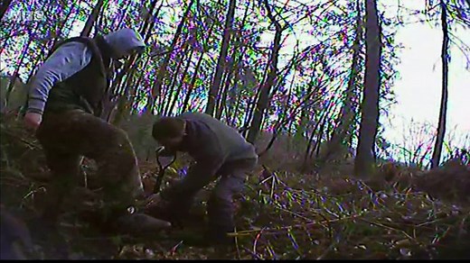 BBC1_BBC Wales Investigates - The Secret World of Badger Baiters 22May18
