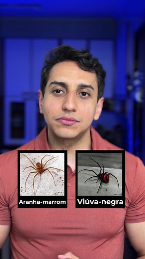 Aranha Mais Perigosa do Mundo: Armadeira e Viúva Negra
