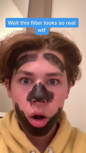 Exploring Realistic Filter Effects on Video