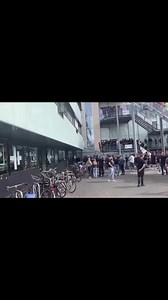 🇳🇱 Utrecht vs Feyenoord | Hooligans Video's