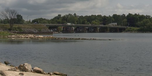 State helping Lake Ontario by helping fish