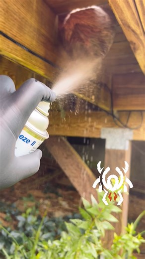 Serv Pest Solutions | We’re ServPest Solutions, your local Cape Cod pest control team. Built on professionalism, integrity, and pride in our work, we’re a... | Instagram