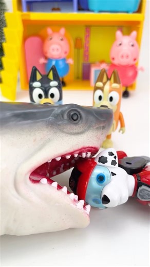 Satisfied Unboxing and Review Paw Patrol toys vs Bluey Family - Dogs Eating Shark #pawpatrol #toys