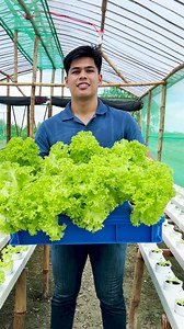 Sa budget na P1,000, isang Gen Z sa Pampanga ang nakapagtayo ng kanyang sariling hydroponics greenhouse! #newsph #socialnewsph #farm #philippinestar