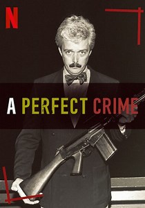 A Perfect Crime - streaming tv show online