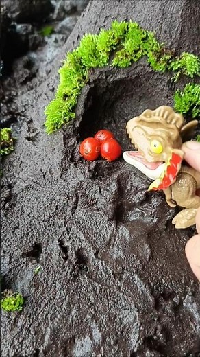 how to catch snakehead fish baby - SNAKEHEAD FISH #shorts #fish #channa #viralvideo