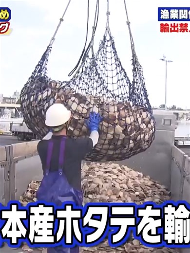 2025年のニュース総まとめTOP50