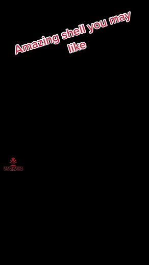 1.3G shell #fireworks2022🎆🎇 #Mandarin #fireworksfun #fireworkshow #fireworks2020 #fireworks2021 #Liuyang #fountain