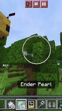 I added Realistic mods into Minecraft ☠️☠️|#minecraftshorts #minecraft #realistic #realisticgameplay