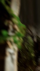 Alien Footprints in History on Reels