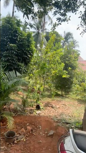 Dil ka Salaam #song # #funny #jiskeaanesemukammalhogayithizindagisong yashomatimaiyasebolenandlala